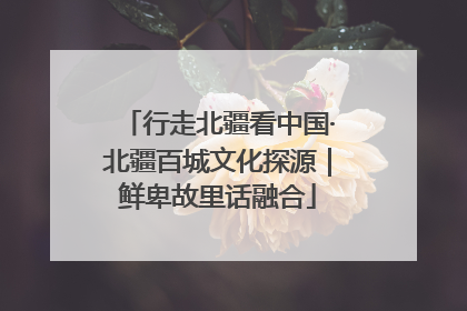 行走北疆看中国·北疆百城文化探源｜鲜卑故里话融合