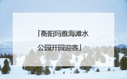 衡阳玛雅海滩水公园开园迎客