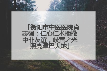 衡阳市中医医院肖志强：仁心仁术播撒中非友谊，岐黄之光照亮津巴大地