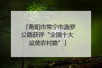 衡阳市常宁市渔罗公路获评“全国十大最美农村路”