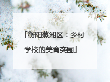 衡阳蒸湘区：乡村学校的美育突围