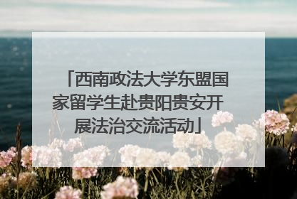 西南政法大学东盟国家留学生赴贵阳贵安开展法治交流活动