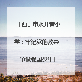 西宁市水井巷小学：牢记党的教导 争做强国少年