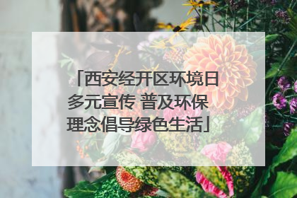 西安经开区环境日多元宣传 普及环保理念倡导绿色生活
