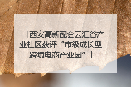 西安高新配套云汇谷产业社区获评“市级成长型跨境电商产业园”