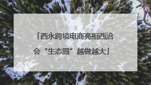 西永跨境电商亮相西洽会“生态圈”越做越大