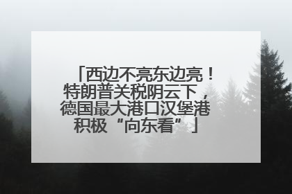 西边不亮东边亮！特朗普关税阴云下，德国最大港口汉堡港积极“向东看”