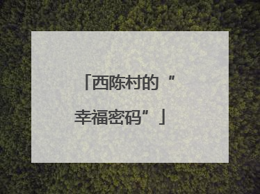 西陈村的“幸福密码”