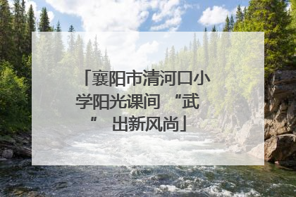 襄阳市清河口小学阳光课间 “武” 出新风尚