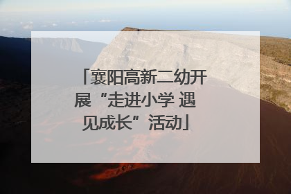 襄阳高新二幼开展“走进小学 遇见成长”活动