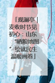 观澜亭｜麦收时节见初心：山东“晒粮地图”绘就民生温暖画卷