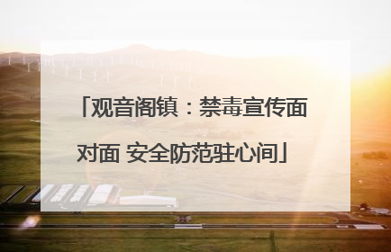 观音阁镇：禁毒宣传面对面 安全防范驻心间