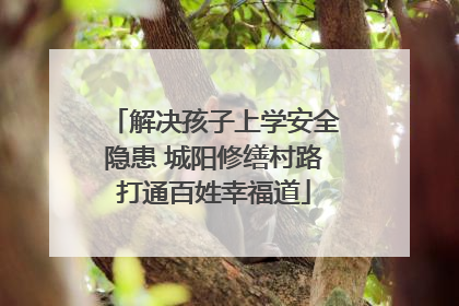 解决孩子上学安全隐患 城阳修缮村路打通百姓幸福道
