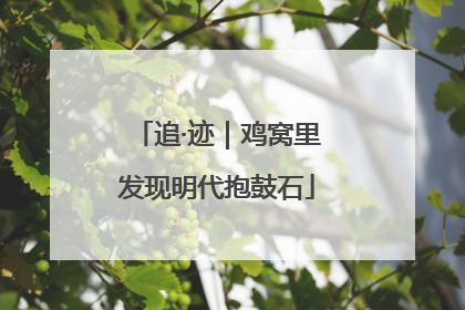 追·迹｜鸡窝里发现明代抱鼓石