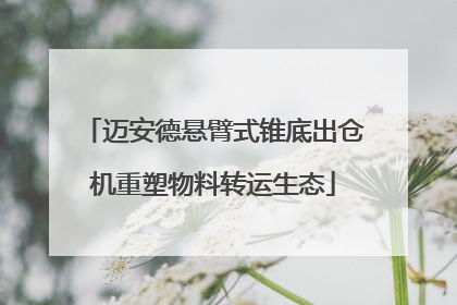 迈安德悬臂式锥底出仓机重塑物料转运生态