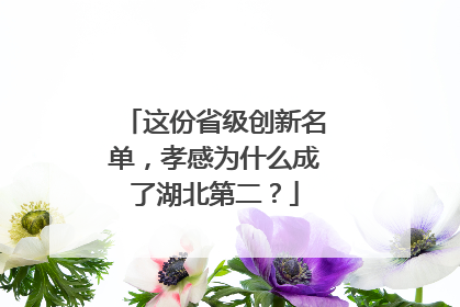 这份省级创新名单，孝感为什么成了湖北第二？