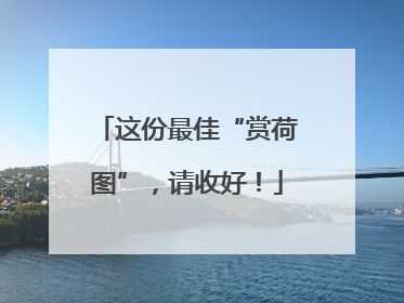 这份最佳“赏荷图”，请收好！