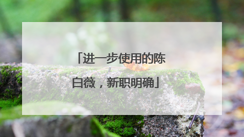 进一步使用的陈白薇，新职明确