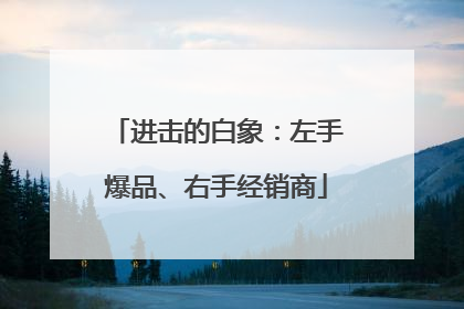 进击的白象：左手爆品、右手经销商