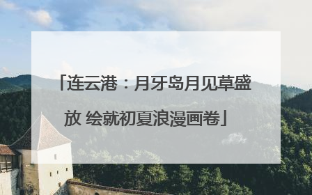 连云港：月牙岛月见草盛放 绘就初夏浪漫画卷