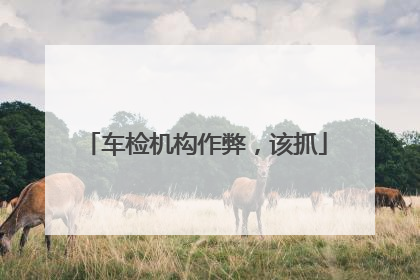 车检机构作弊，该抓