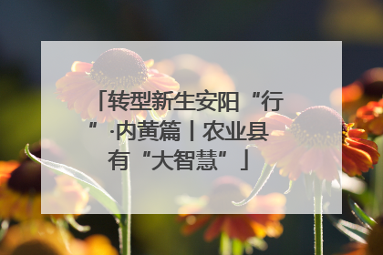 转型新生安阳“行”·内黄篇丨农业县有“大智慧”