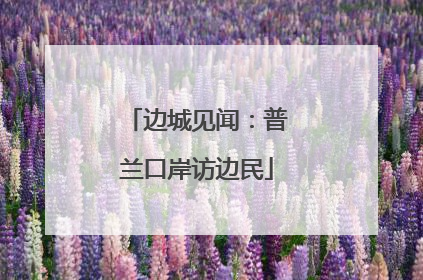 边城见闻：普兰口岸访边民