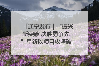 辽宁发布｜“振兴新突破 决胜勇争先”阜新以项目攻坚破解发展瓶颈 经济发展实现良好开局