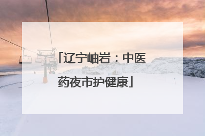 辽宁岫岩：中医药夜市护健康