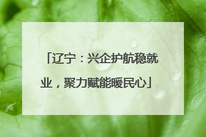 辽宁：兴企护航稳就业，聚力赋能暖民心