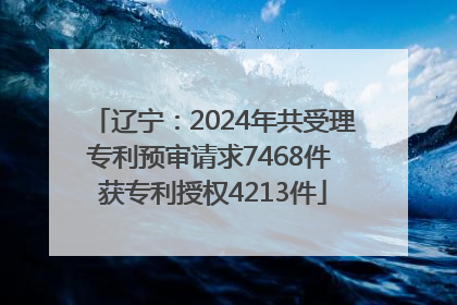 辽宁：2024年共受理专利预审请求7468件 获专利授权4213件