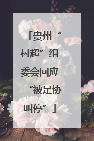 贵州“村超”组委会回应“被足协叫停”