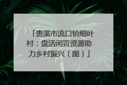 贵溪市流口镇细叶村：盘活闲置资源助力乡村振兴（图）