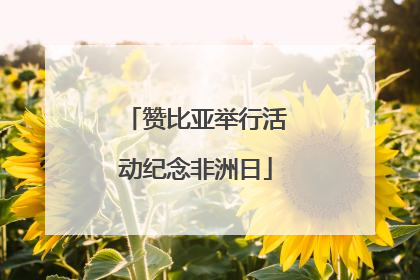 赞比亚举行活动纪念非洲日