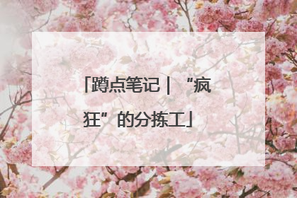 蹲点笔记｜“疯狂”的分拣工