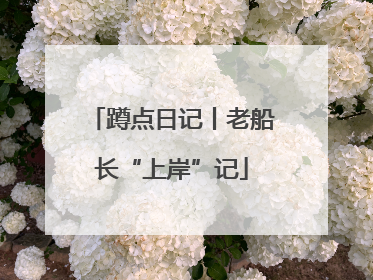 蹲点日记丨老船长“上岸”记