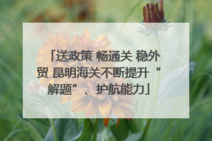 送政策 畅通关 稳外贸 昆明海关不断提升“解题”、护航能力