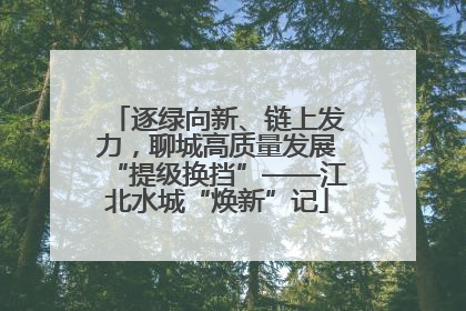 逐绿向新、链上发力，聊城高质量发展“提级换挡”——江北水城“焕新”记