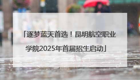 逐梦蓝天首选！昆明航空职业学院2025年首届招生启动