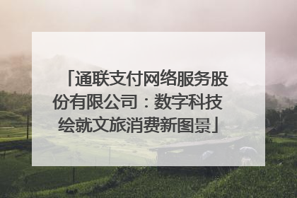 通联支付网络服务股份有限公司：数字科技绘就文旅消费新图景