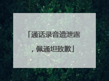 通话录音遭泄露，佩通坦致歉