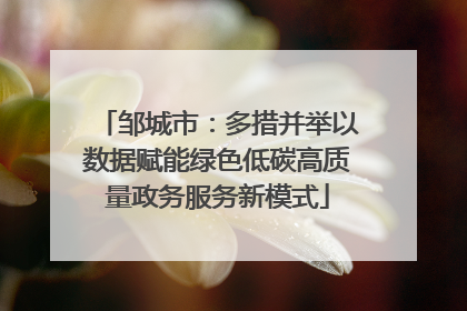 邹城市：多措并举以数据赋能绿色低碳高质量政务服务新模式