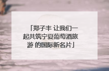 郑子丰 让我们一起共筑宁夏葡萄酒旅游 的国际新名片