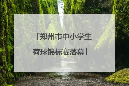 郑州市中小学生荷球锦标赛落幕