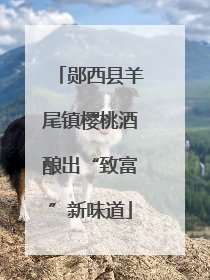 郧西县羊尾镇樱桃酒酿出“致富”新味道