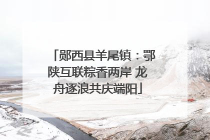 郧西县羊尾镇：鄂陕互联粽香两岸 龙舟逐浪共庆端阳
