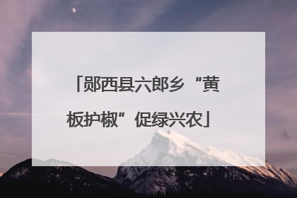 郧西县六郎乡“黄板护椒”促绿兴农