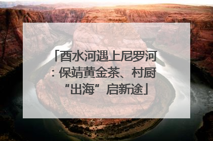 酉水河遇上尼罗河：保靖黄金茶、村厨“出海”启新途