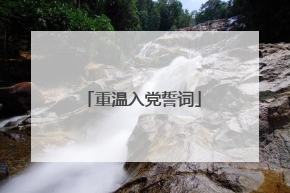 重温入党誓词