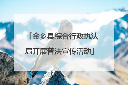 金乡县综合行政执法局开展普法宣传活动